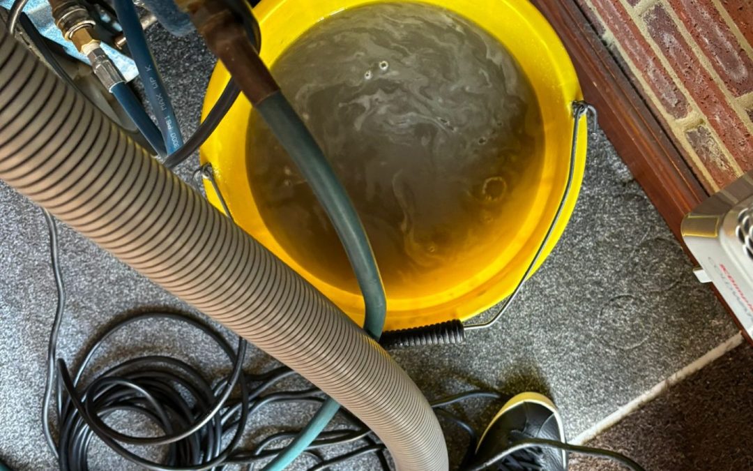 window cleaning bedfordshire